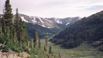 Wooded Valley