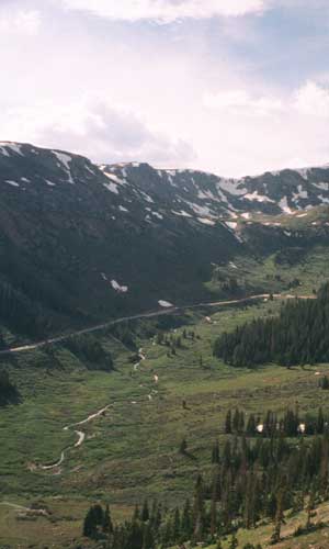 Wooded Valley